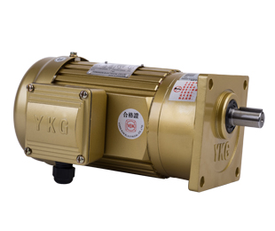 Vertical gear reducer single phase