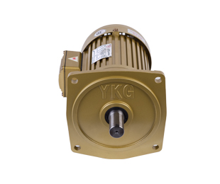 Vertical gear reducer 100W