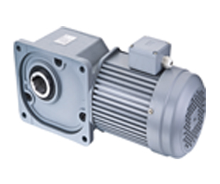Rattan right angle reducer, szg-f hollow shaft reducer