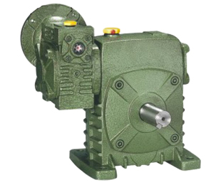 Wpeds worm gear reducer