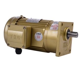 Vertical gear reducer single phase