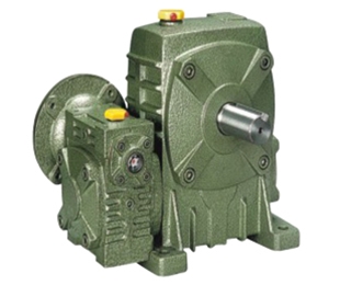 Wpada worm gear reducer