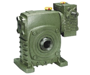 Wpeks reducer worm gear